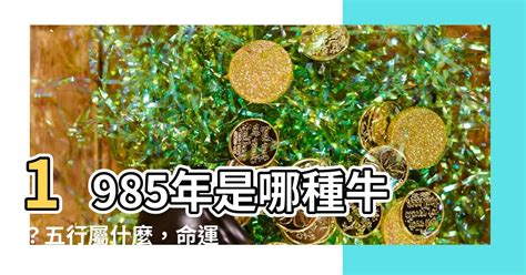 1985是什麼牛|生肖牛：1985年出生是什麼命？